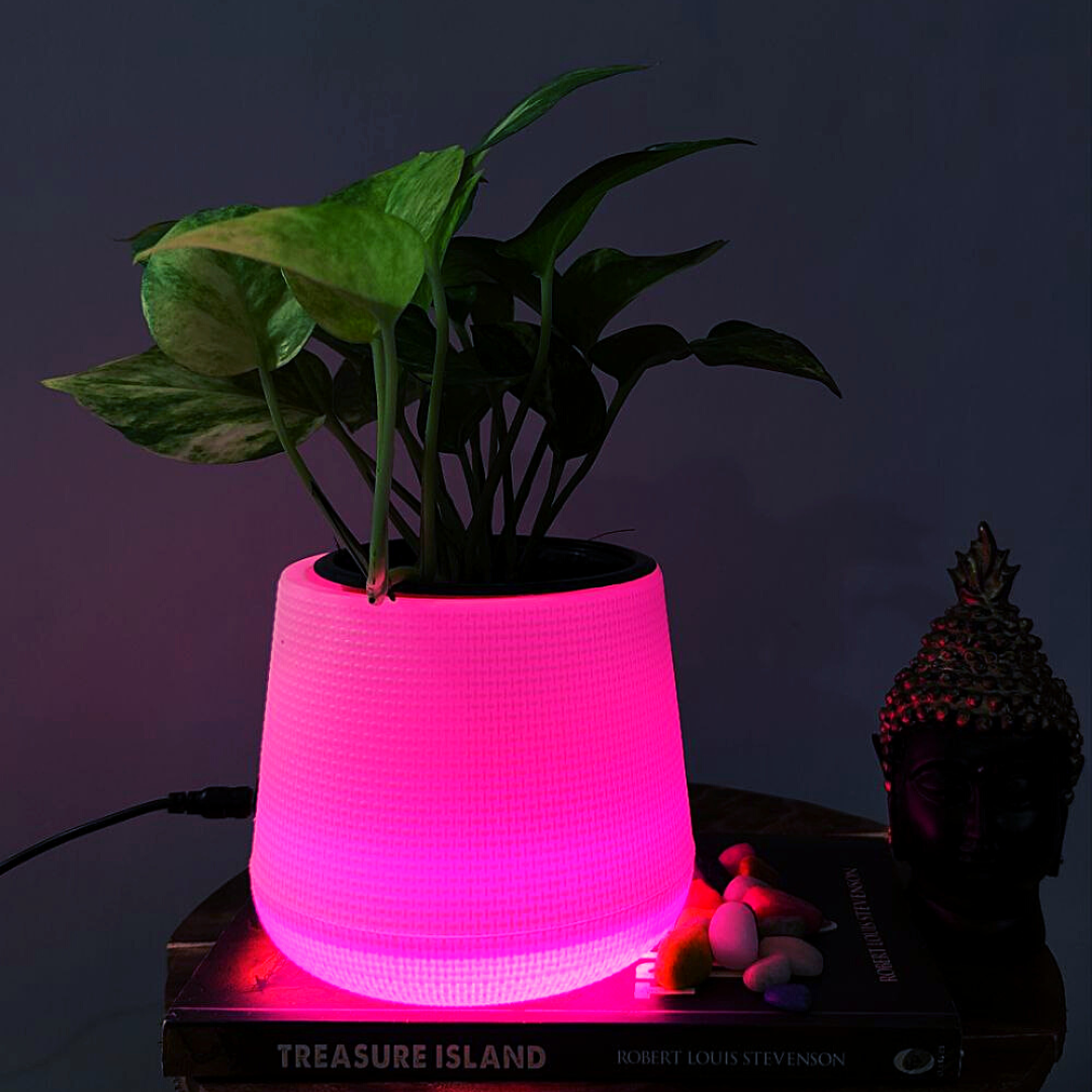 Homefrills LED Flower Pot PEAR with Pink Light (Plastic Garden Pot, Indoor Planter, Flower Pot, Home Decor, Garden Decor) 5 inches LED Planter.Package Contains-1 Planter with 1 Adapter